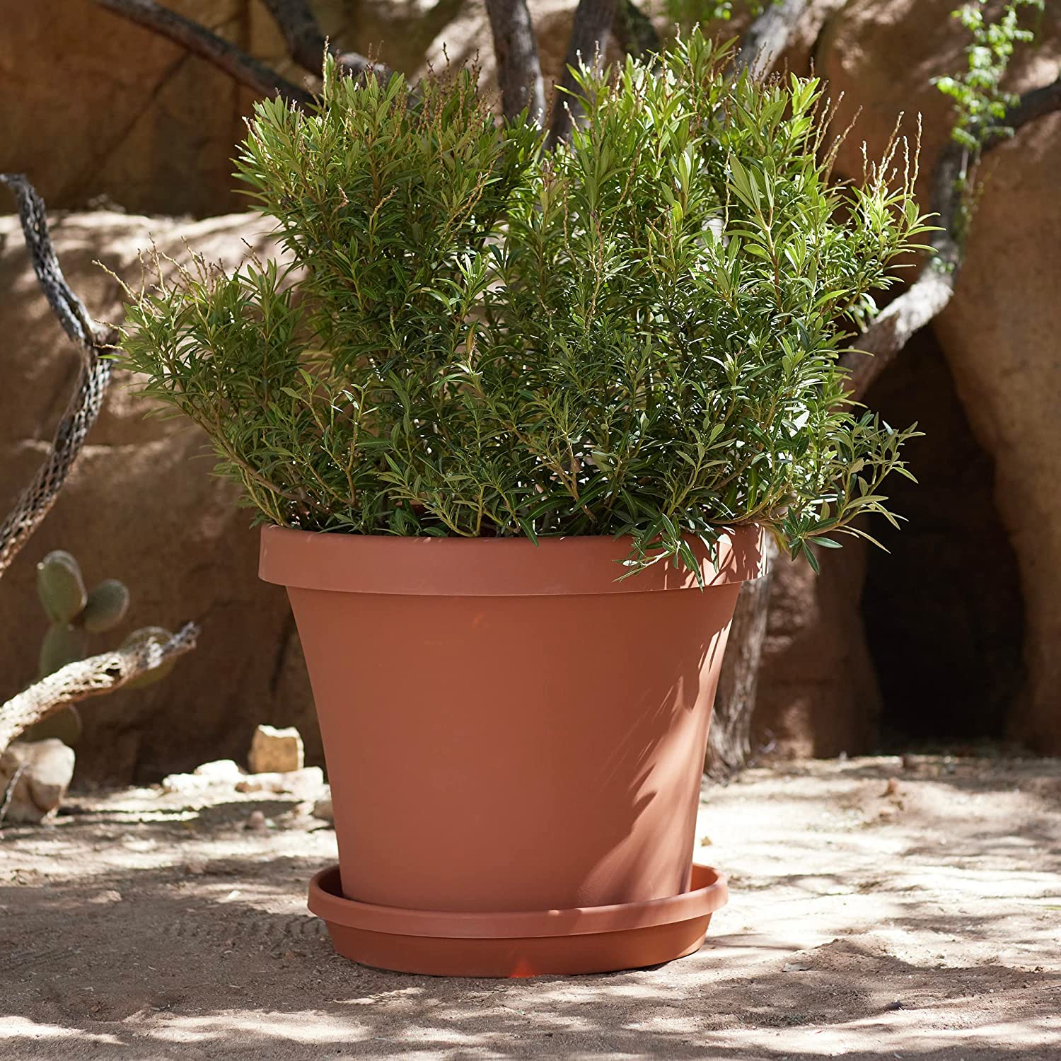 Bloem 23.75-in x 20.25-in Terra Cotta Plastic Planter with Drainage Holes, Terra Cotta