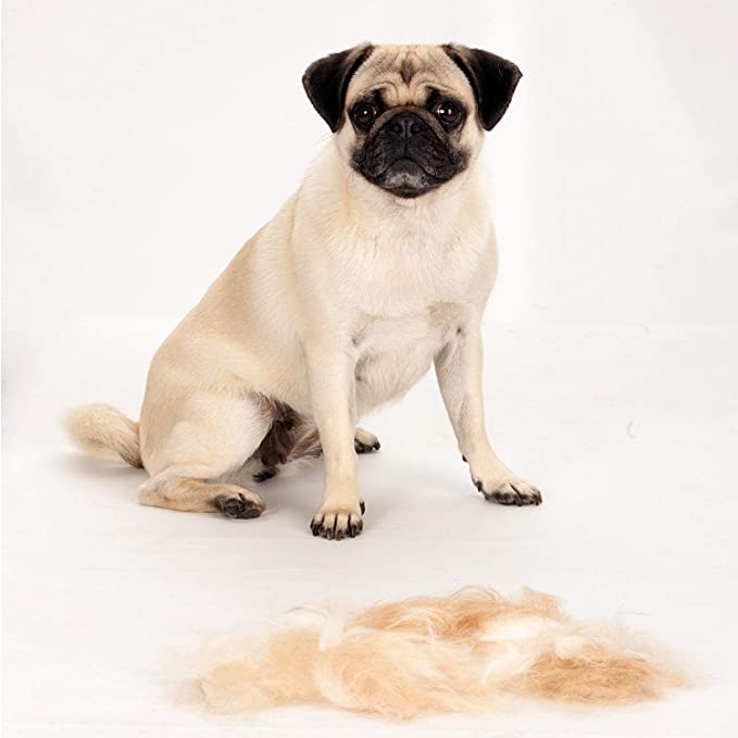 FURminator® deShedding Tool Large Dog Short Hair, 101008