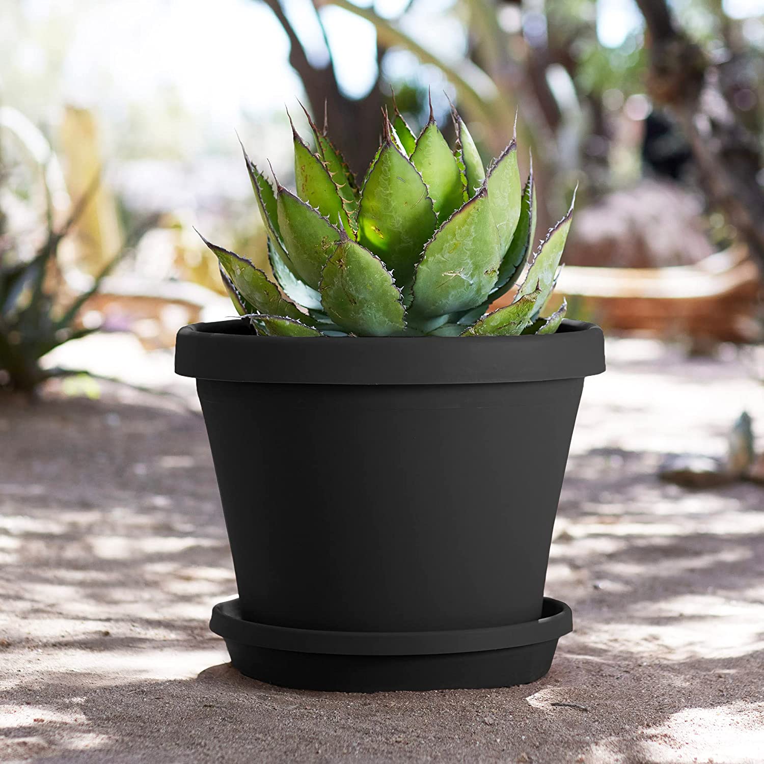 Bloem TERRA Planter, Black,16"