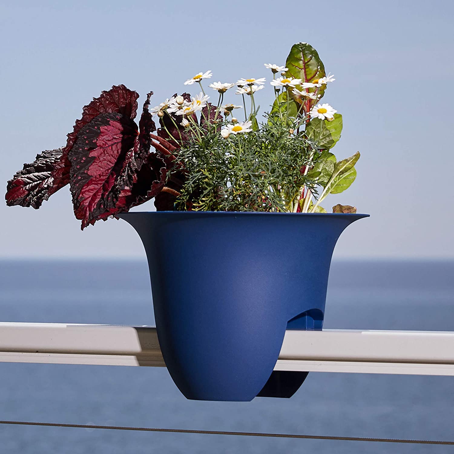 Bloem MODICA RAIL Planter, Deep Sea,12"