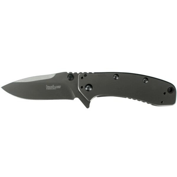 Kershaw Cryo II Assisted 3.25 in Plain Stainless Handle